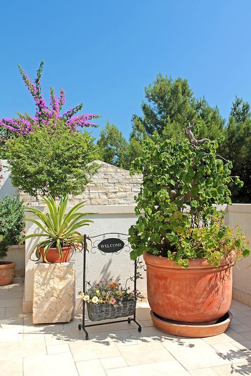 Apartment Ankora Makarska
